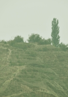 《五绝·助寻》 霜鬓寻亲路，帮人即助己。 踏遍万重山，手香留心底。