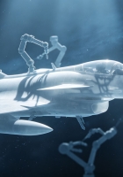 论坛网站升级程序gsagsgsthts