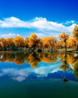 大美喀什风景如画大美喀什风景如画大美喀什风景如画